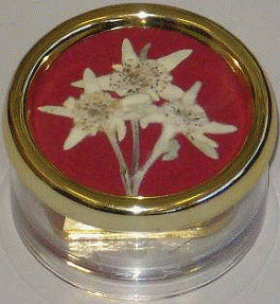 100-06-502 Trockenblumen Edelweiss Rot 18 Tonzähne