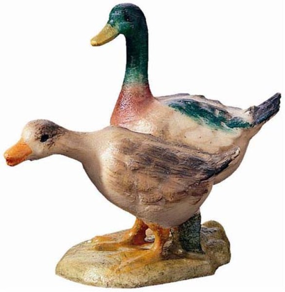 180 H-2055 2 Enten