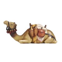 pemaekostner-kamel-liegend